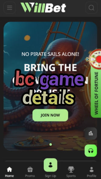 BC Game Details - Complete Platform Overview-vz72fvrf.com
